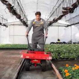 Battery-powered power barrow inside a greenhouse