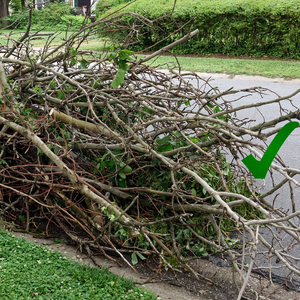 The Best Garden Shredder Purchasing Guide AgriEuro Blog   Green Wood Prunings That Can Be Shredded 