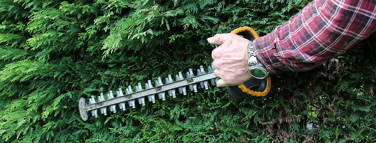 hedge-trimmers