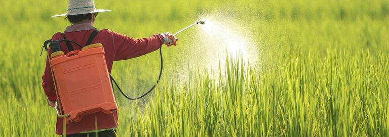 The Best Sprayer Pump - Purchasing Guide | AgriEuro Blog