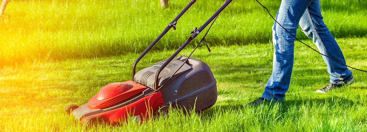 electric-lawn-mowers