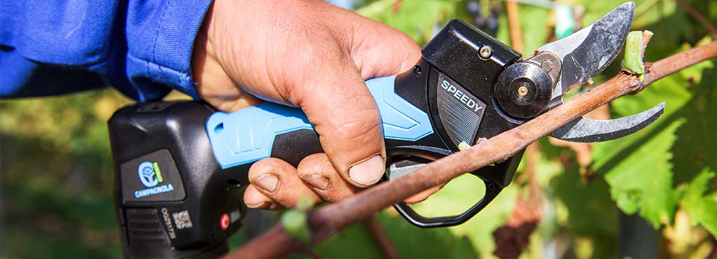 electric-battery-powered-pruning-shears