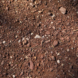 skeletal-soil-with-stones
